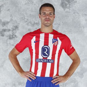 MEN VAPOR MATCH 23/24 JERSEY